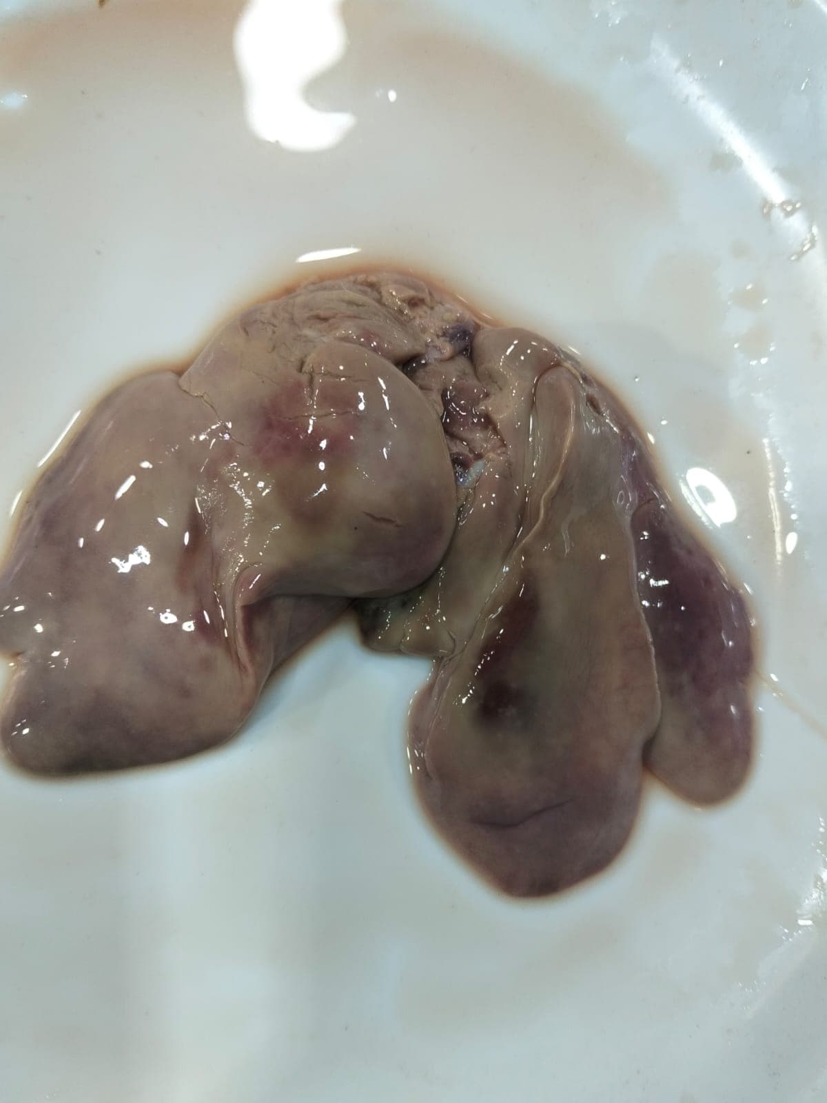 Mutton Kaleji (Liver) - Per Piece